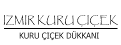 Doğal Kurutulmuş Kar Beyaz Pamuk Otu - İzmir Kuru Çiçek